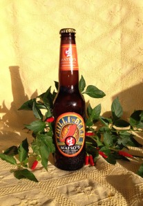 Matso's Chilli Beer .... does what it says on the tin