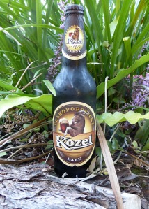 Velkopopvicky Kozel Dark Beer - easy for you to say ....